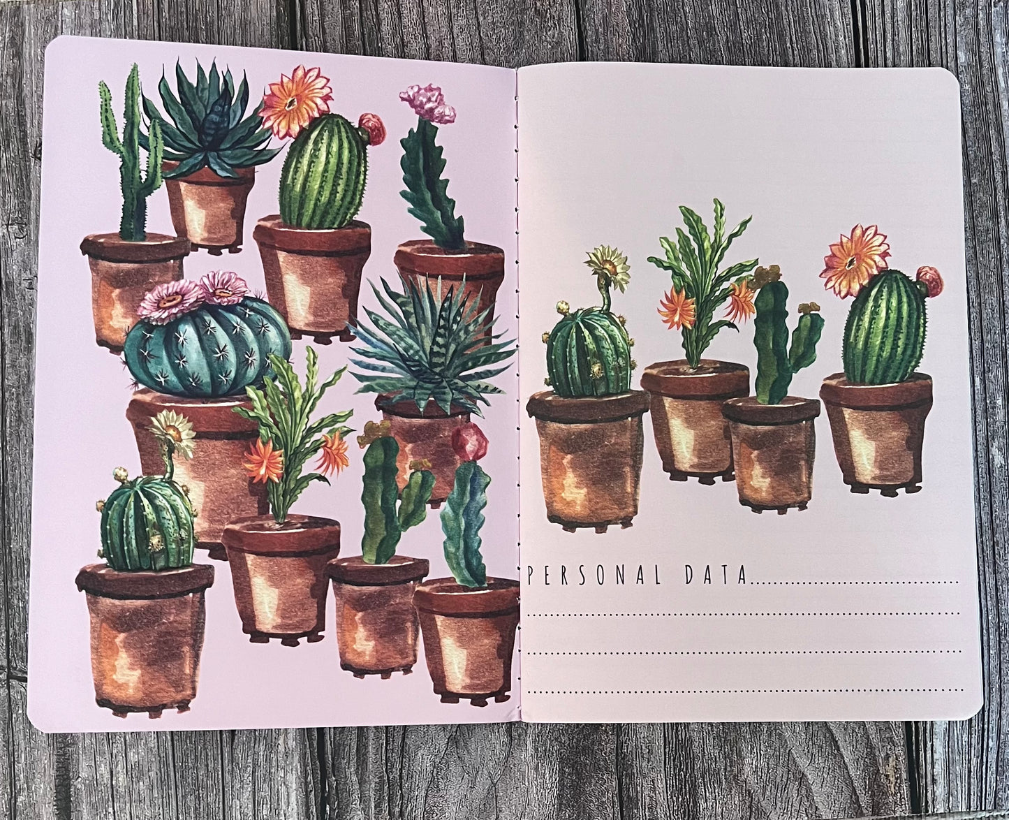 Arizona Pink Notebook